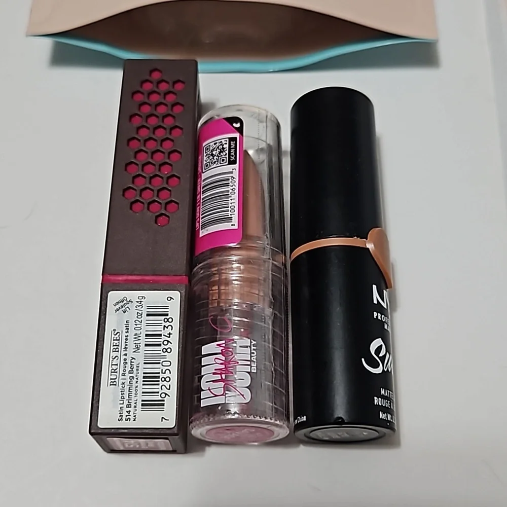 Lipstick, Brushes Bundle Lot of Makeup Burts Bees & NYX